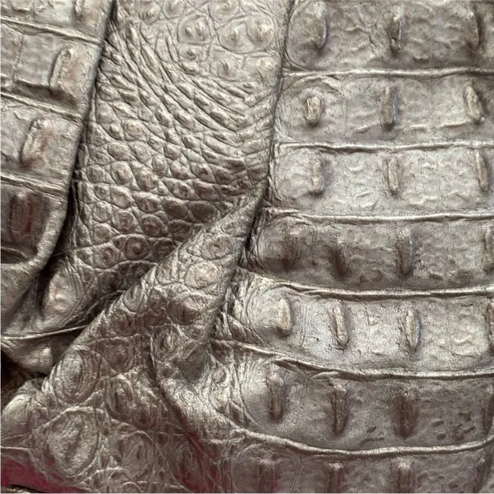 Zara Terez Silver Croc-Embossed Crossbody Bag